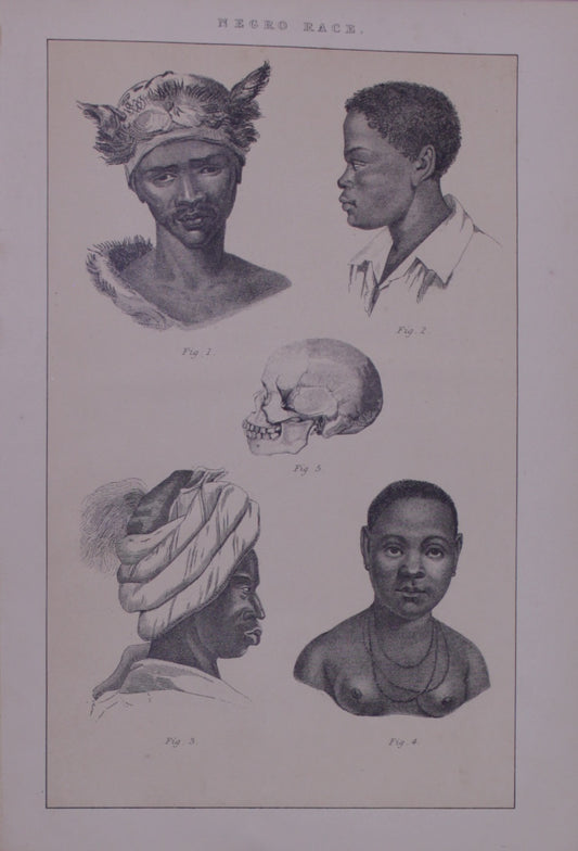 Ethnology, Anthropology & Ethnology, Blackie & Son, Negro Race, c1880
