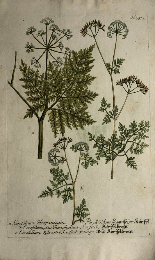 Botanical, Hill, Sir John: Cerfolium, The Vegetable System. London 1770-1775.