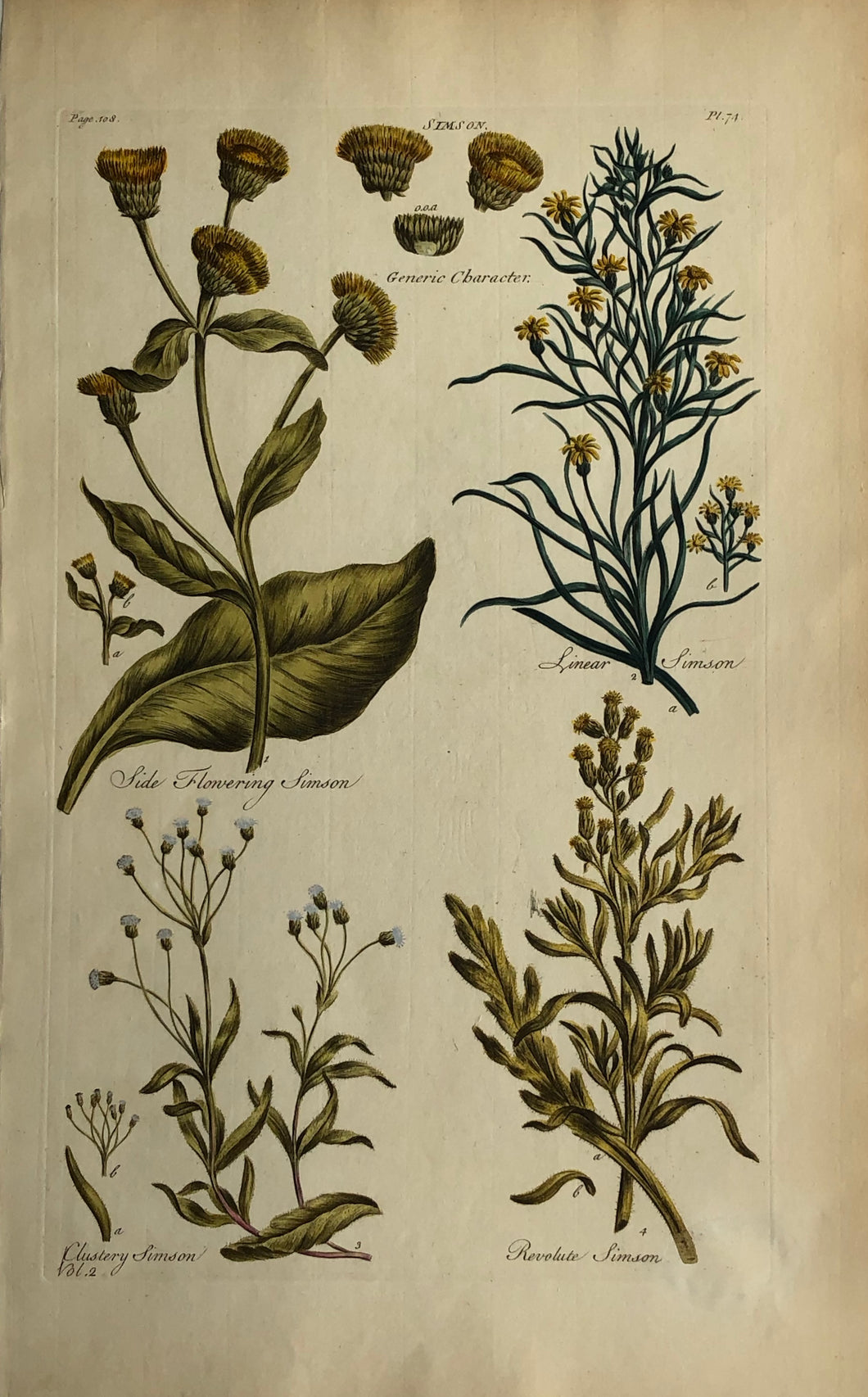 Botanical, Hill, Sir John: Simson, The Vegetable System. London. 1770-1775.