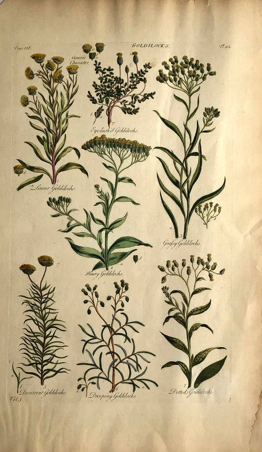 Botanical, Hill, Sir John: Goldilocks, The Vegetable System, London: 1770-1775.