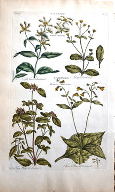Botanical, Hill, Sir John: Bird Weed, The Vegetable System. London: 1770-1775.