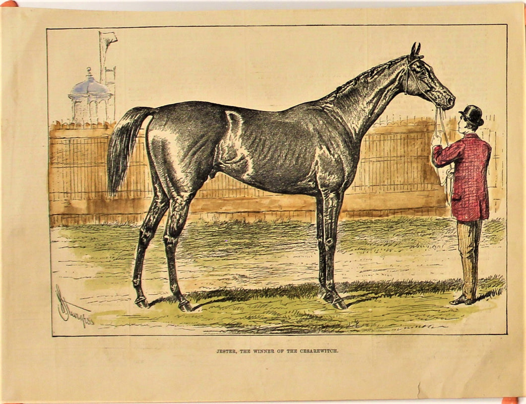 Sporting, Equestrian, Jester, Winner of the Cesarewich, c1875