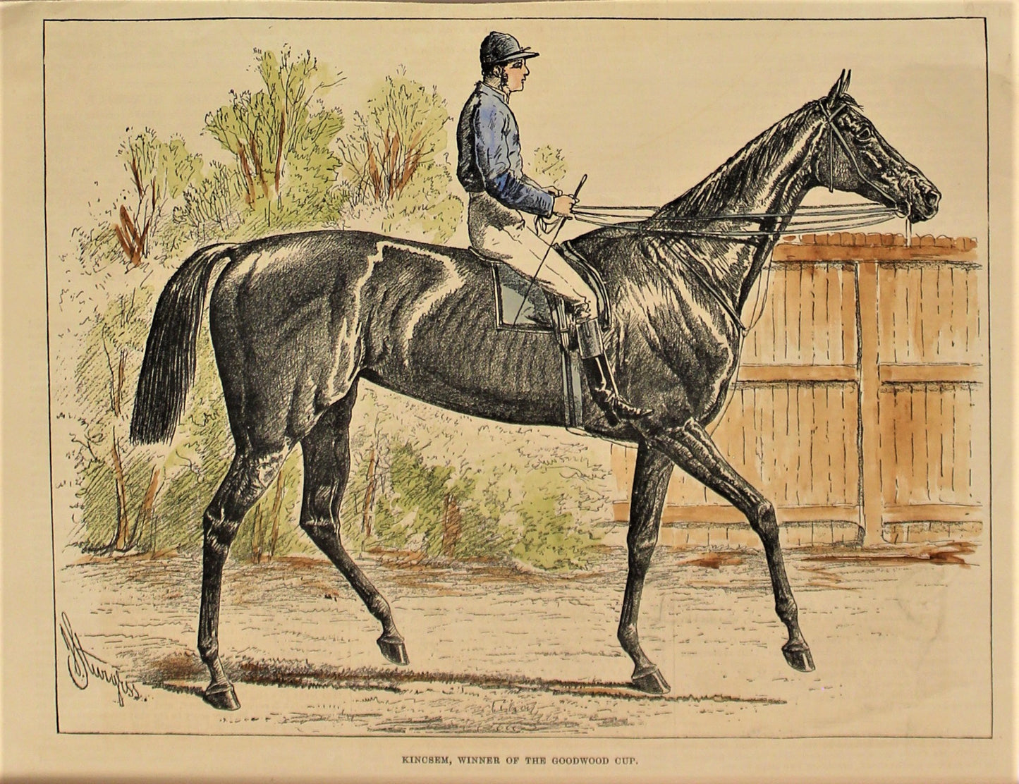 Sporting, Equestrian, #3, Kincsem, Winner of the Goodwood Cup, 1876