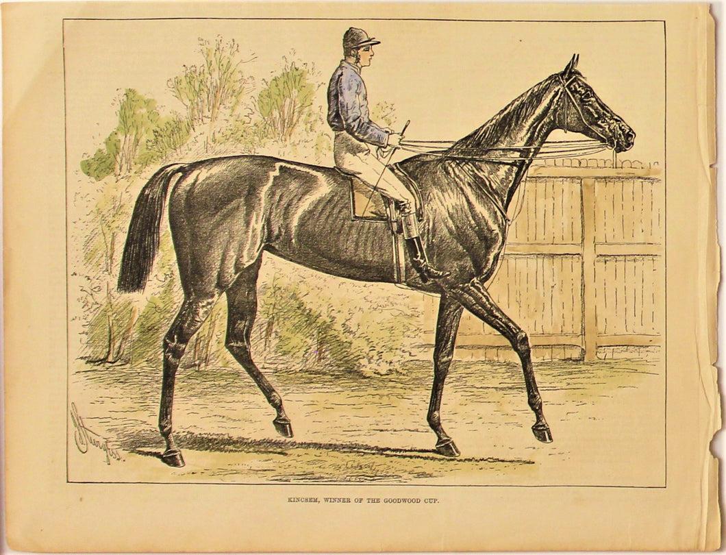 Sporting, Equestrian, #2, Kincsem, Winner of the Goodwood Cup, 1876