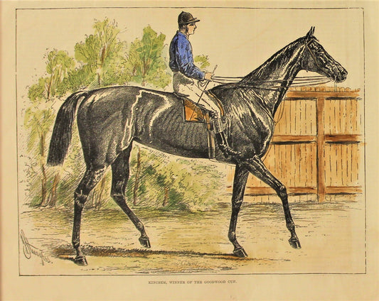 Sporting, Equestrian, #1, Kincsem, Winner of the Goodwood Cup, 1876