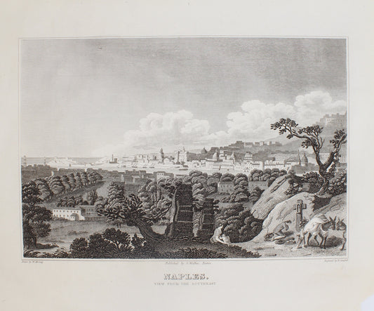 Historical, Naples, View from the South-East, W.M. Craig,  c1820