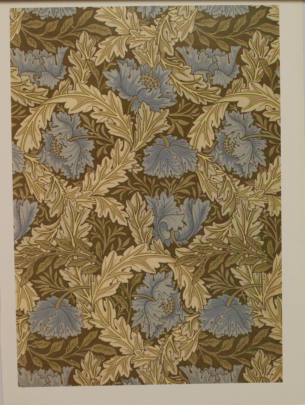 Decorator, Morris William, Wallpaper Ceiling Design, Wreath, Plate 12, Art Nouveau, c1876