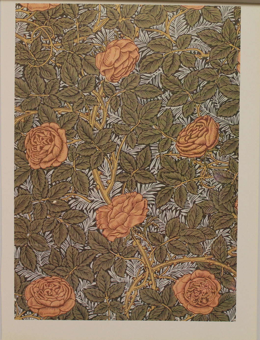 Decorator, Morris William, Fabric Design, Rose, Art Nouveau, Plate 14,  c1877