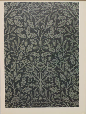 Decorator, Morris William, Fabric Design, Acorn, Plate 17, Art Nouveau, c1879