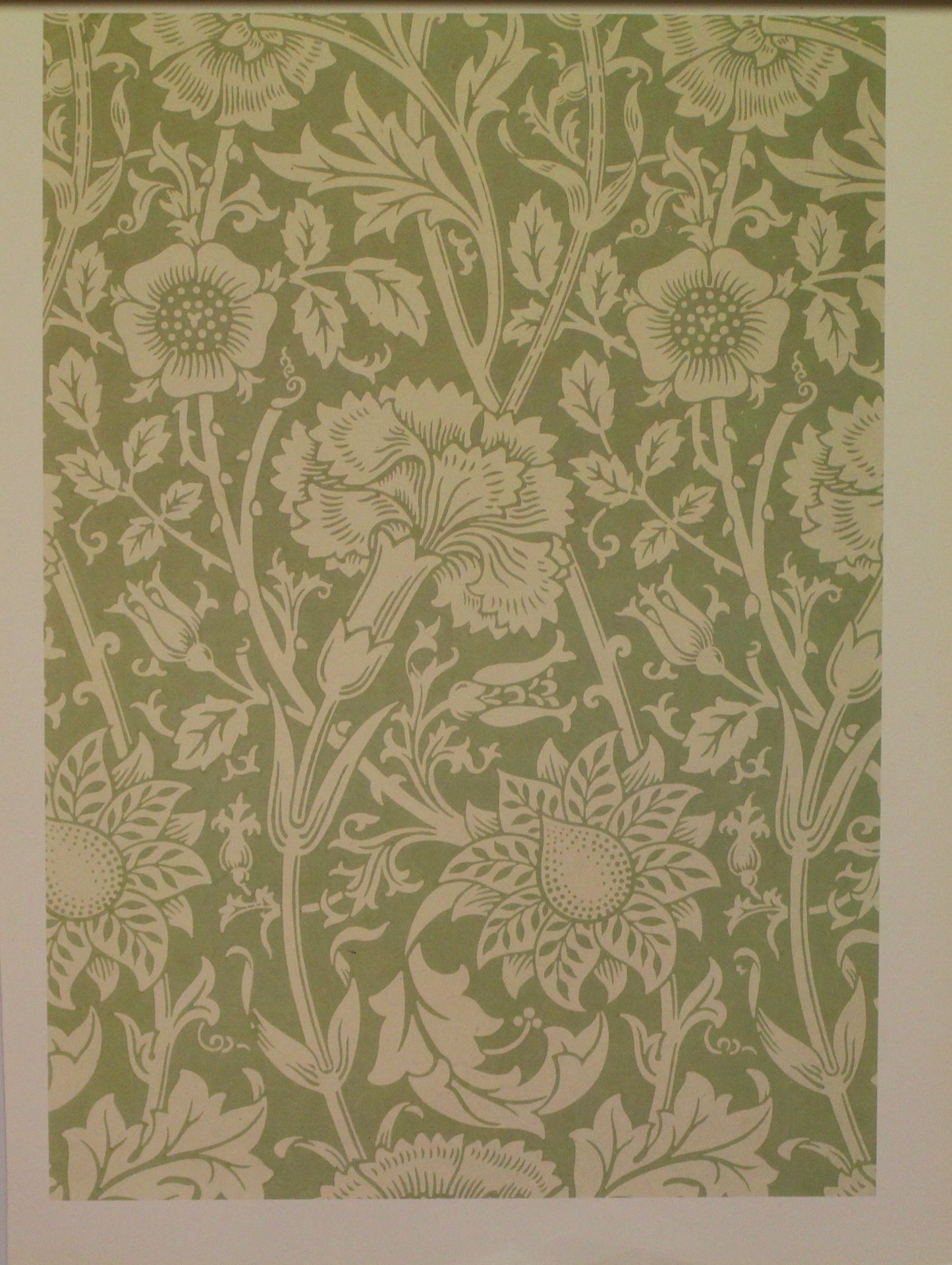 Decorator, Morris William, Wallpaper Design, Pink and Rose, Plate 26, Art Nouveau, c1890