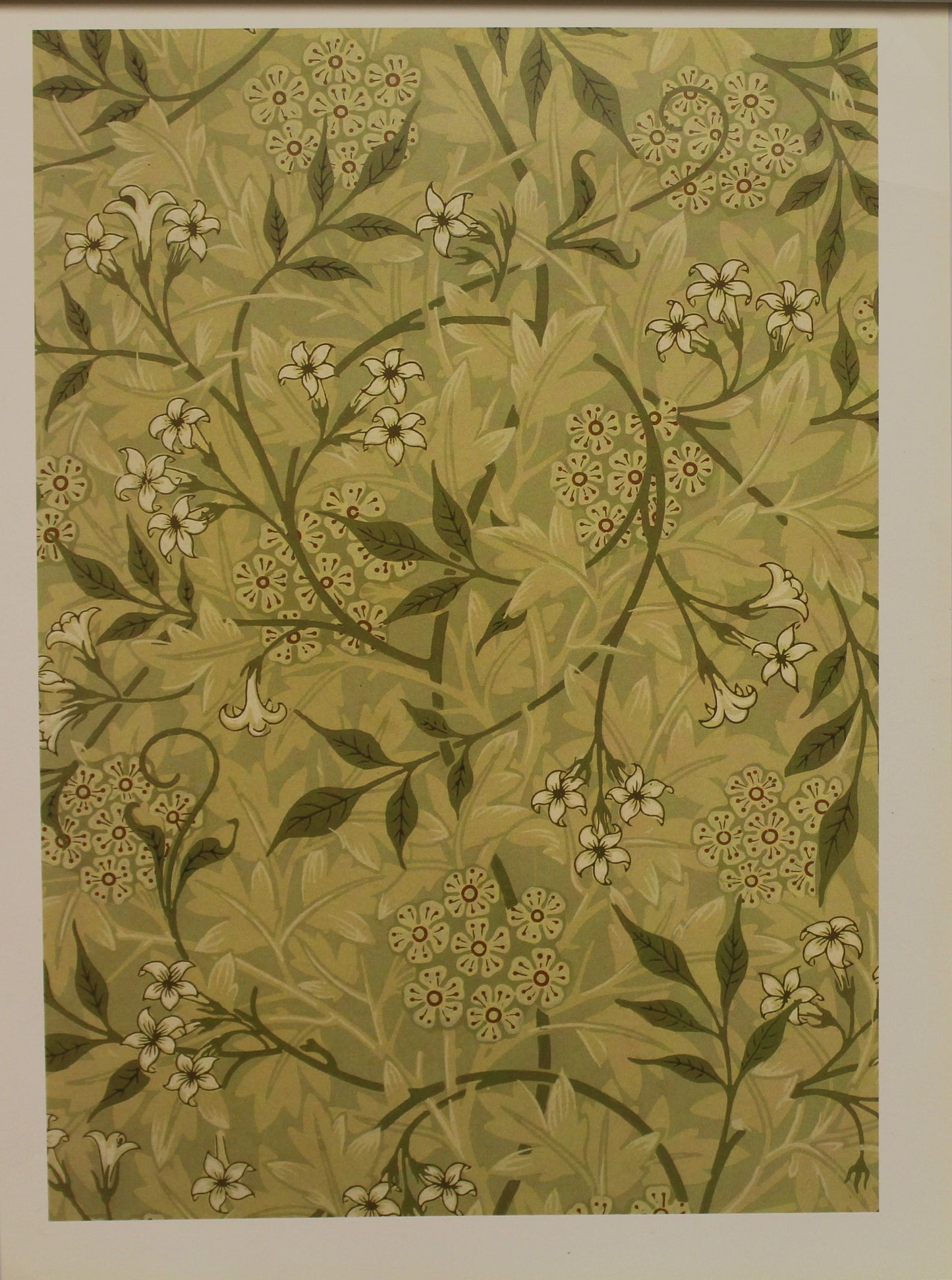 Decorator, Morris William, Wallpaper Design, Jasmine, Plate 4, Art Nouveau, c1872