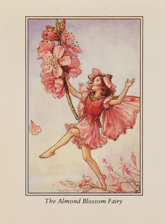 Storytime, Barker Cicely Mary, The Almond Blossom Fairy, Flower Fairies of the Trees, c1940