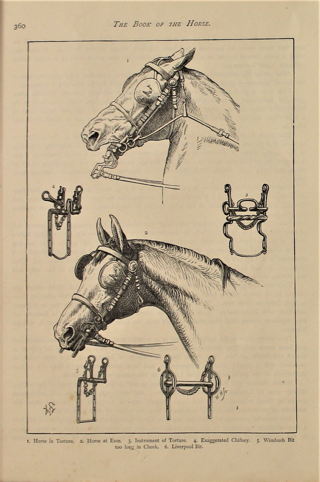Sporting, Equestrian, Horse at Ease, Horse in Torture, Cassells, The Book of the Horse, 1873
