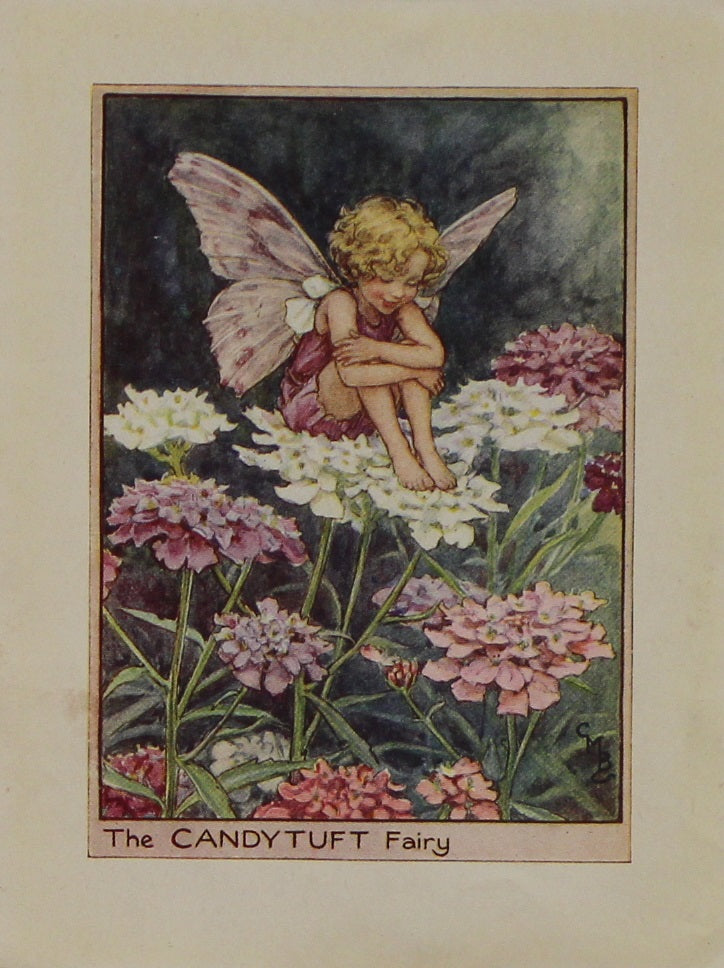 Storytime, Barker, Cicily Mary, The Candytuft Fairy, Flower Fairies of the Garden, c1920