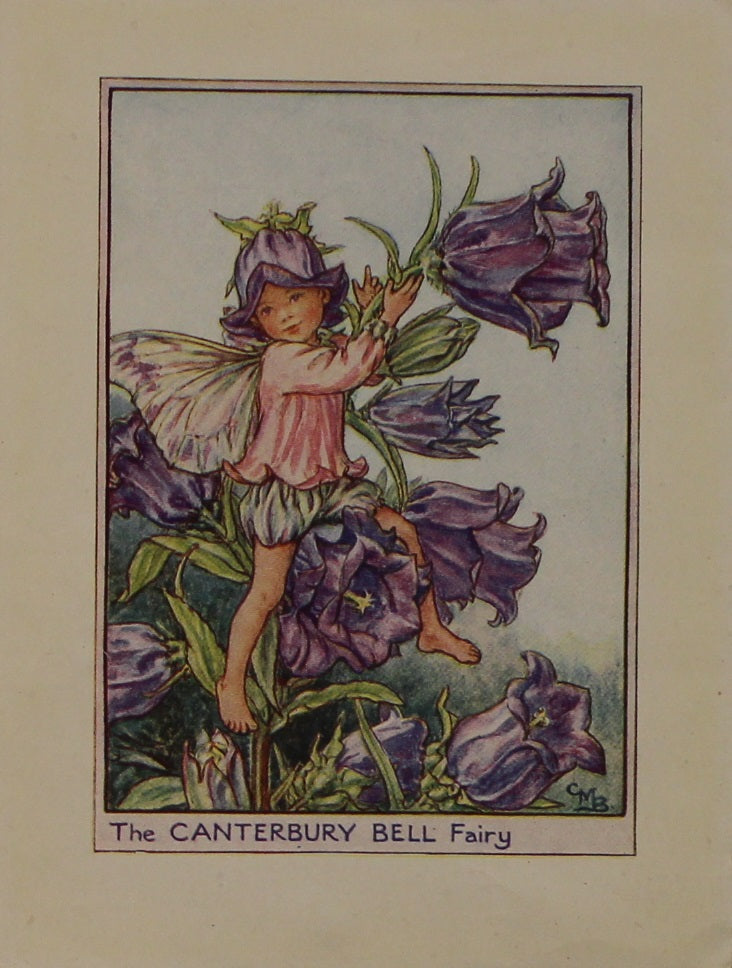 Storytime, Barker, Cicily, Mary, The Canterbury Bell Fairy, Flower Fairies of the Garden, c1920