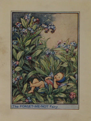 Storytime, Barker, Cicily, Mary, The Forget-Me-Not Fairy, Flower Fairies of the Garden, c1920