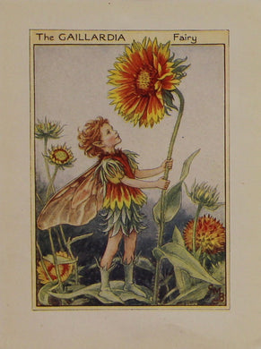 Storytime, Barker, Cicily Mary, The Gaillardia Fairy, Flower Fairies of the Garden, c1920