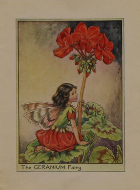 Storytime, Barker, Cicily Mary, The Geranium Fairy, Flower Fairies of the Garden, c1920