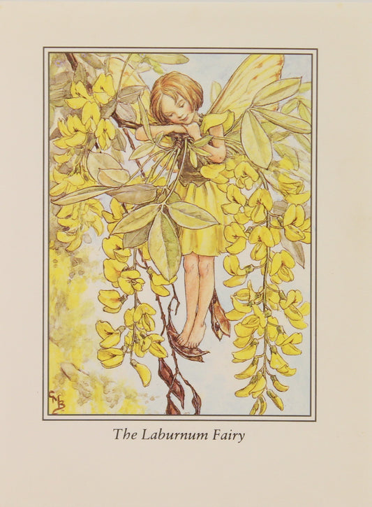 Storytime, Barker Cicely Mary, The Laburnum Fairy, Flower Fairies of the Trees, c1940