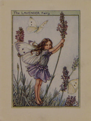 Storytime, Barker, Cicily, Mary, The Lavender Fairy, Flower Fairies of the Garden, c1920