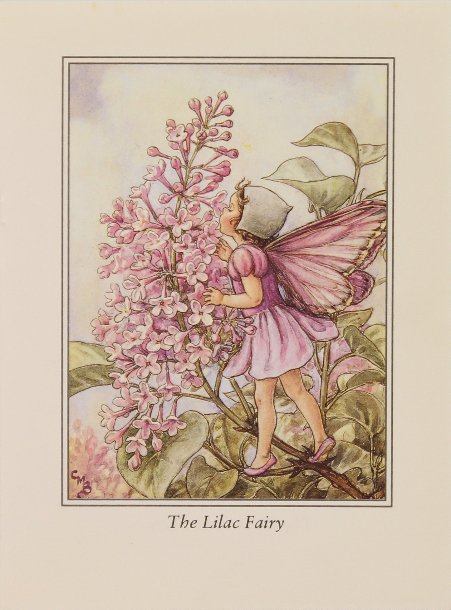 Storytime, Barker Cicely Mary, The Lilac Fairy, Flower Fairies of the Trees, c1940
