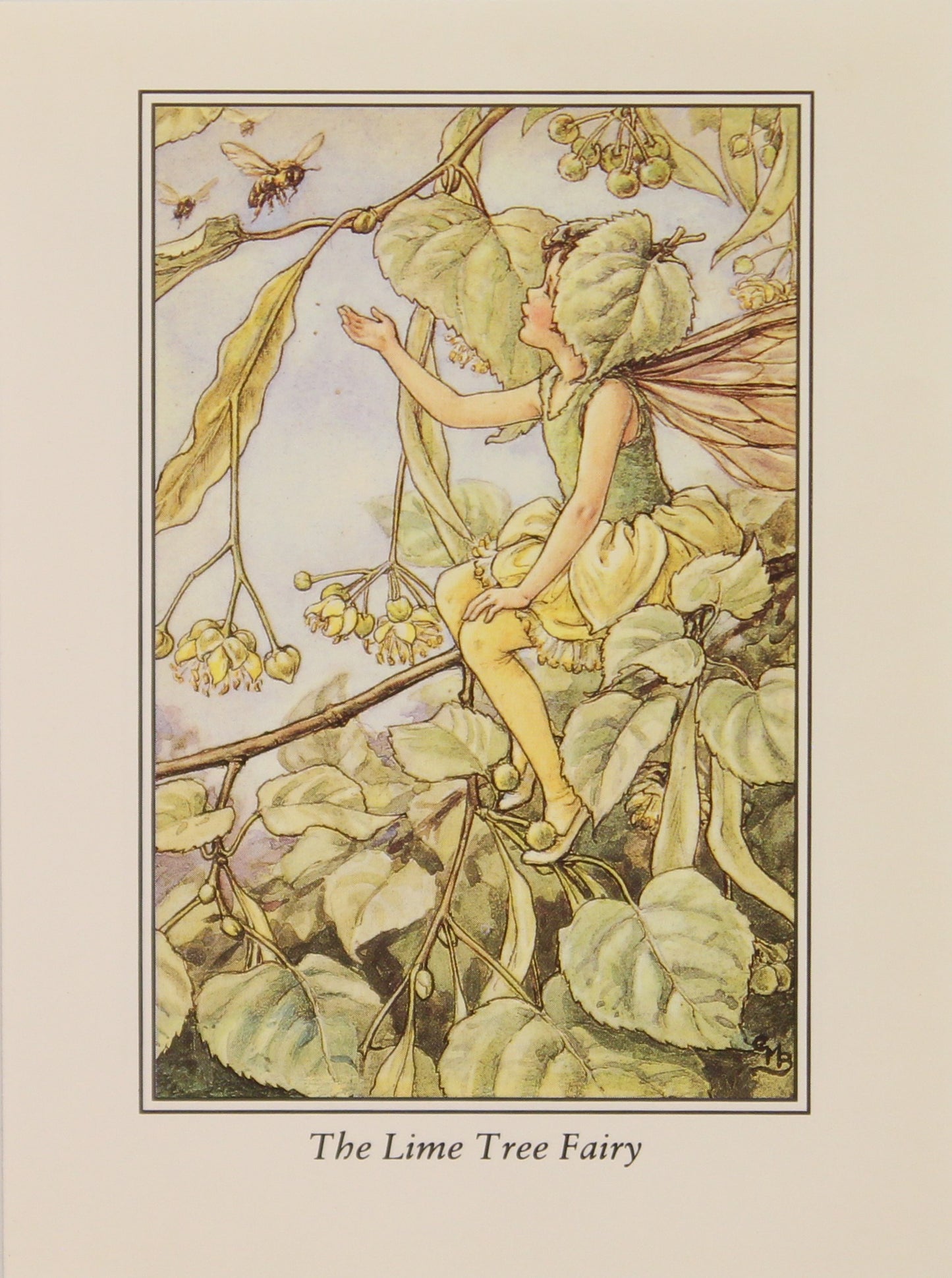 Storytime, Barker Cicely Mary, The Lime Tree Fairy, Flower Fairies of the Trees, c1940