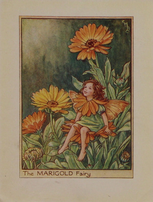 Storytime, Barker Cicily Mary, The Marigold Fairy, Flower Fairies of the Garden, c1920