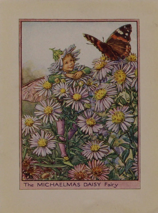Storytime, Barker, Cicily Mary, The Michaelmas Daisy Fairy, Flower Fairies of the Garden, c1920