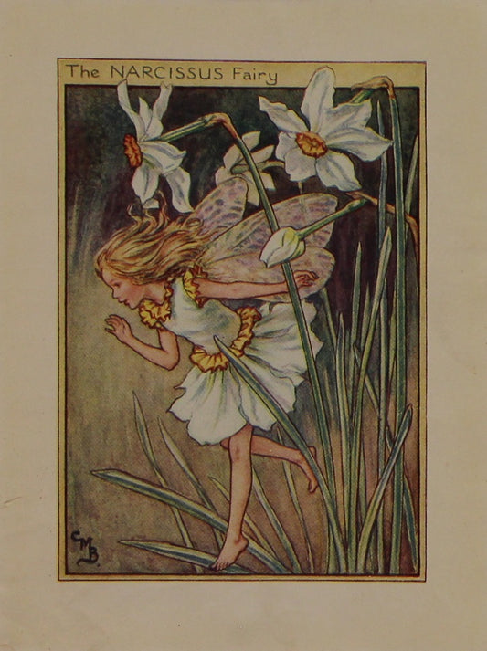 Storytime, The Narcissus Fairy, Barker Cicely Mary, Flower Fairies of the Garden, c1940