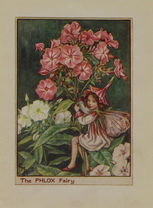 Storytime, Barker, Cicily Mary, The Phlox Fairy, Flower Fairies of the Garden, c1920