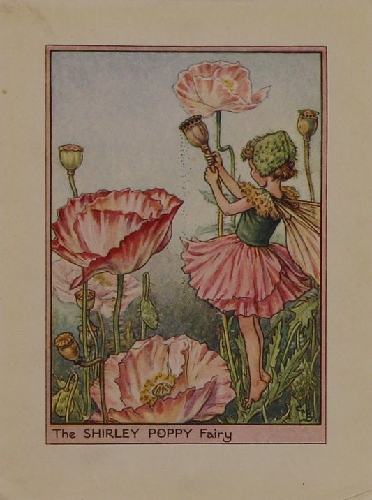Storytime, Barker, Cicily Mary, The Shirley Poppy Fairy, Flower Fairies of the Garden, c1920
