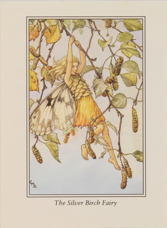 Storytime, Barker Cicely Mary, The Silver Birch Fairy, Flower Fairies of the Trees, c1940