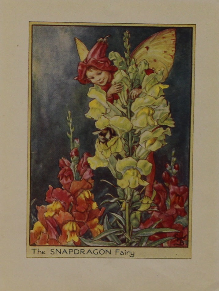 Storytime, Barker, Cicily Mary, The Snapdragon Fairy, Flower Fairies of the Garden, c1920