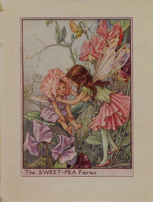 Storytime, Barker, Cicily, Mary, The Sweet-Pea Fairy, Flower Fairies of the Garden, c1920