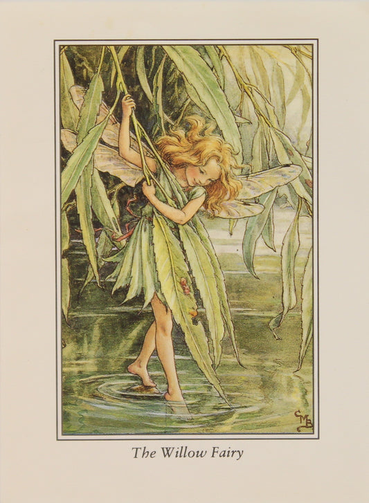 Storytime, Barker Cicely Mary, The Willow Fairy, Flower Fairies of the Trees, c1940