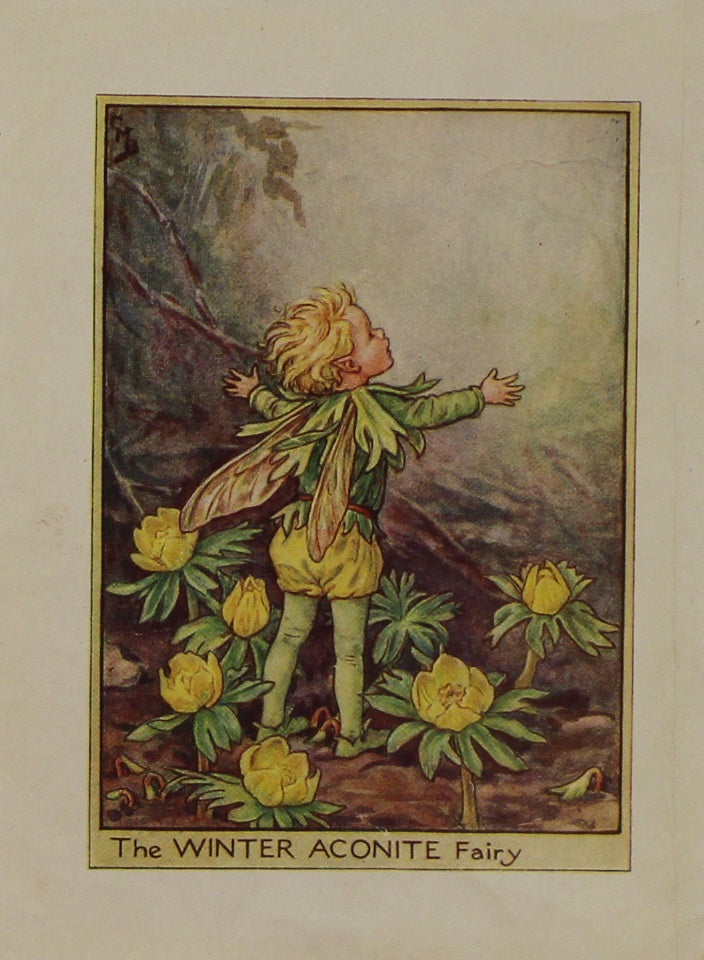 Storytime, Barker, Cicily, Mary, The Winter Aconite Fairy, Flower Fairies of the Garden, c1920