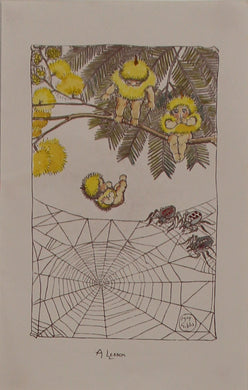 Storytime, Wattle Babies, A Lesson, Gibbs May, c1918