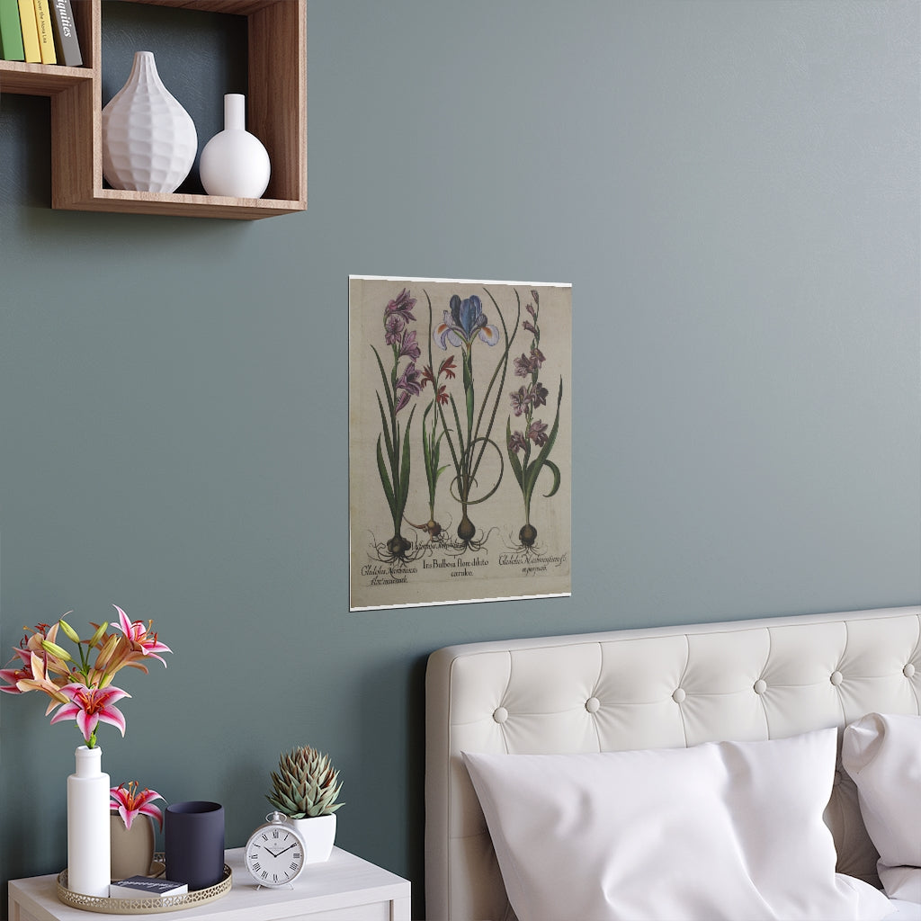 Iris Silk Posters