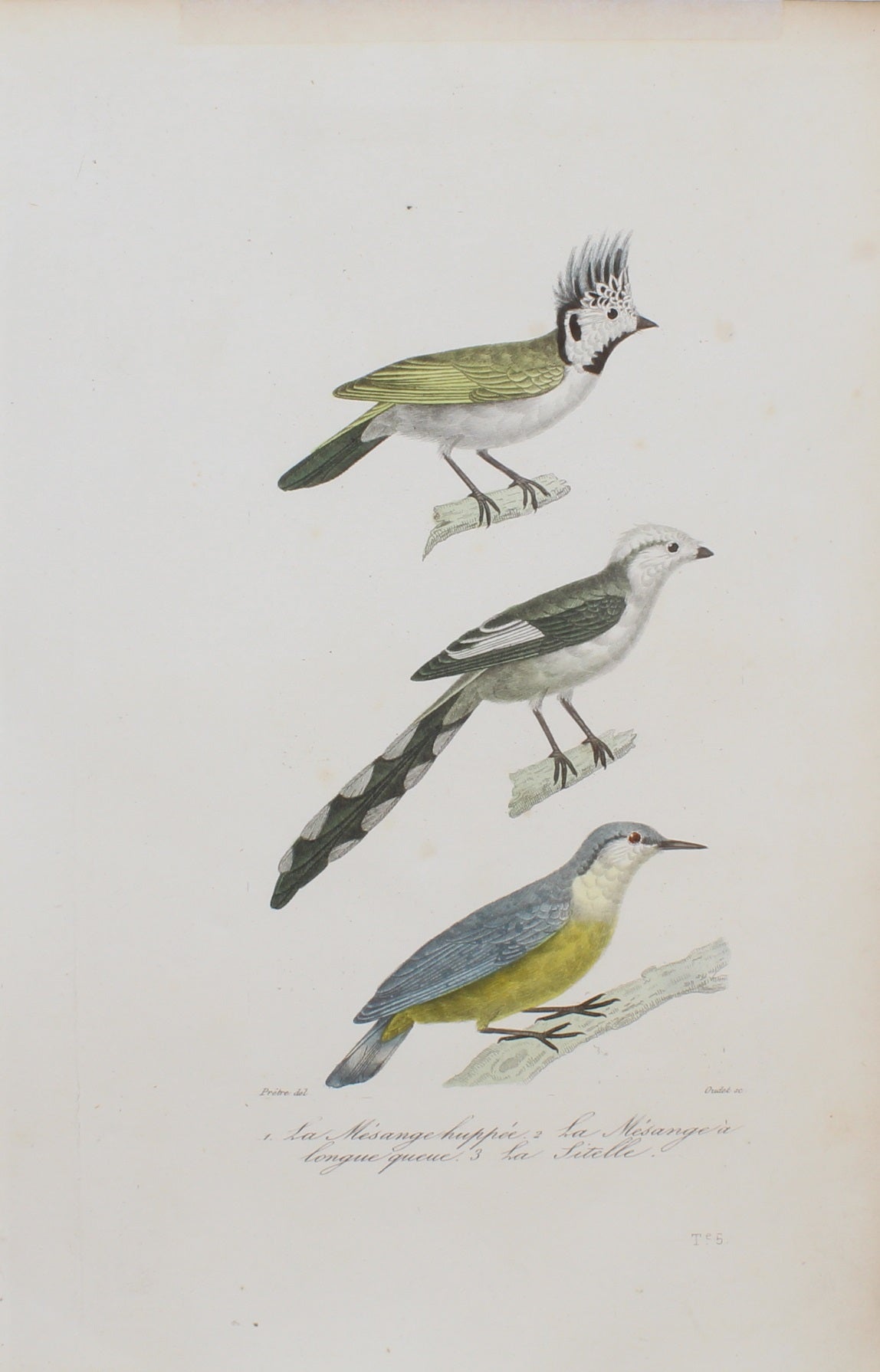 Bird: de Buffon,  Birds by George-Louis Leclerc Comte de Buffon, c 1789