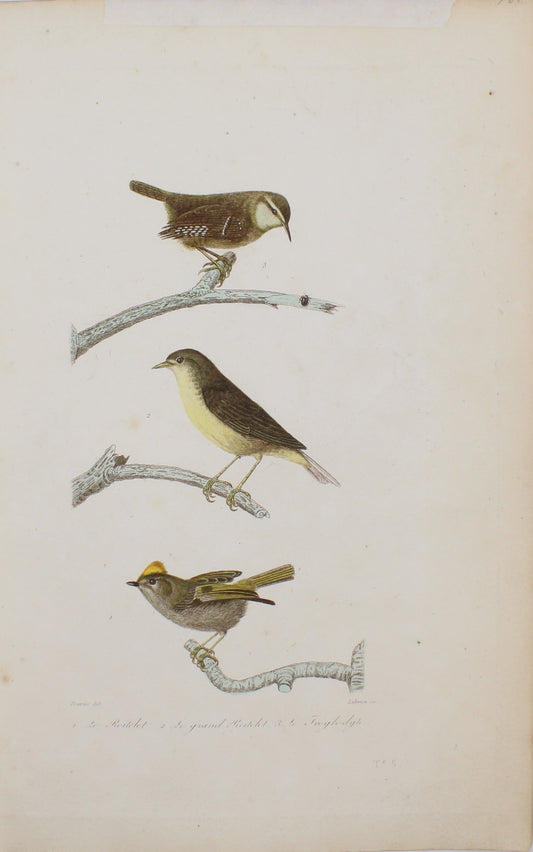 Bird: de Buffon,  Birds by George-Louis Leclerc Comte de Buffon, c 1789